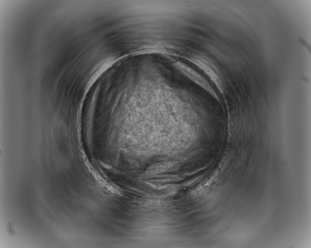 X0000096680949200802191349