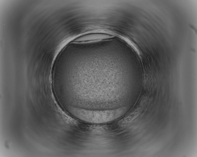 X0000096680951200802191349