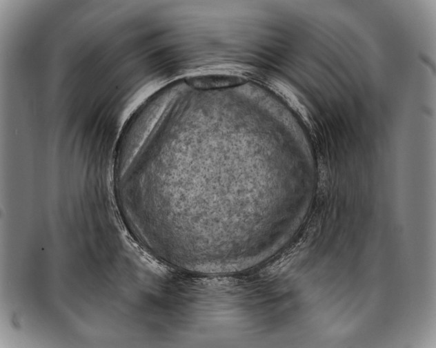 X0000096680952200802191349