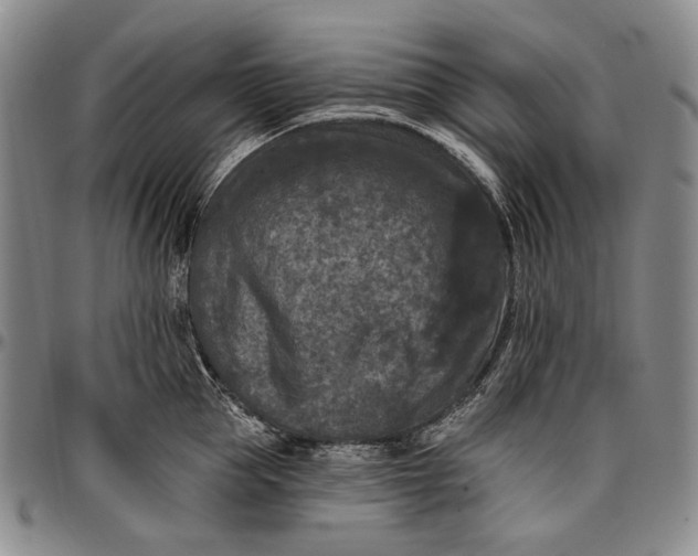 X0000096680953200802191349