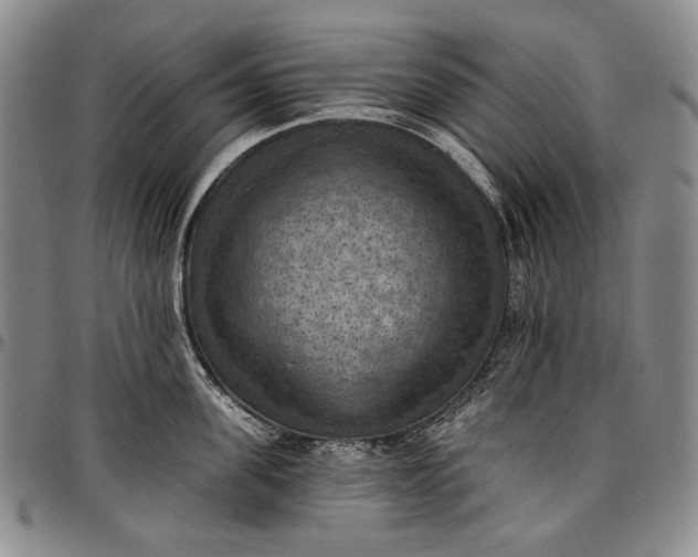 X0000096680955200802191350
