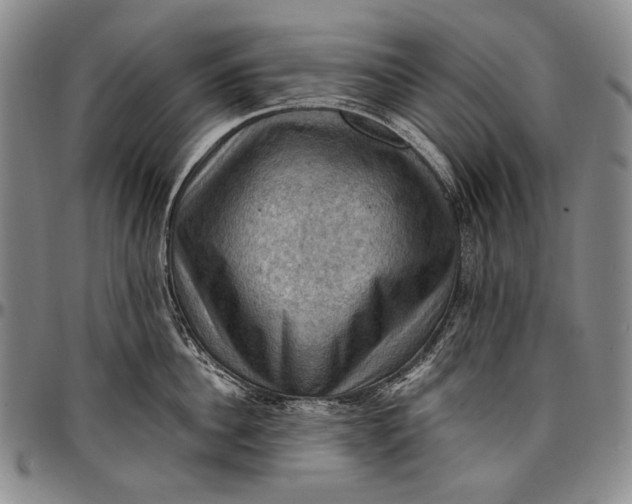 X0000096680956200802191350