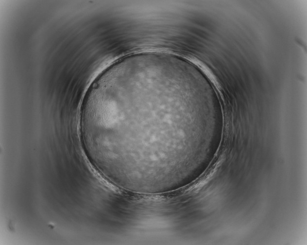 X0000096680957200802191350