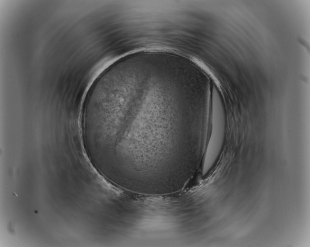 X0000096680959200802191350