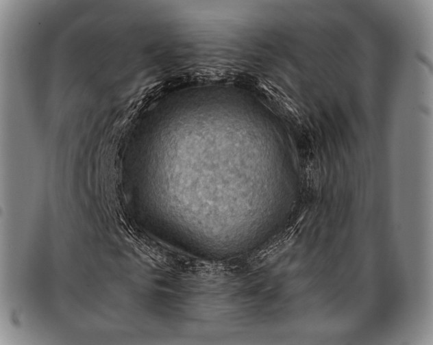 X0000096680961200802191349