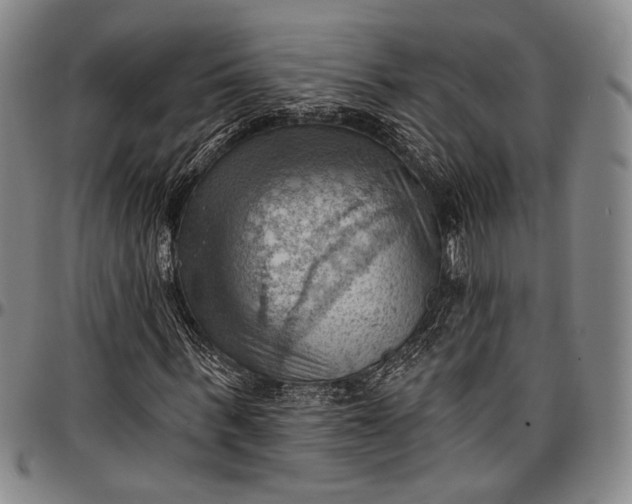 X0000096680963200802191349