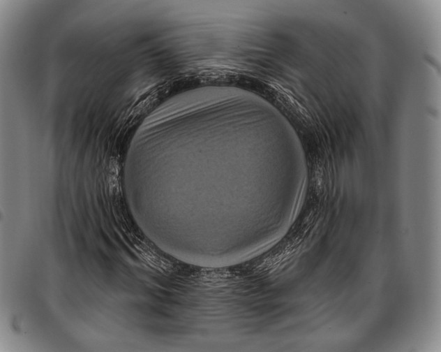 X0000096680964200802191349