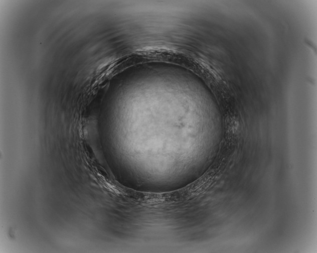 X0000096680965200802191349