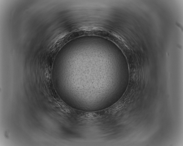 X0000096680966200802191349