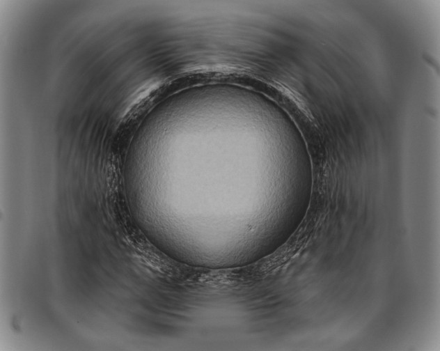 X0000096680967200802191349
