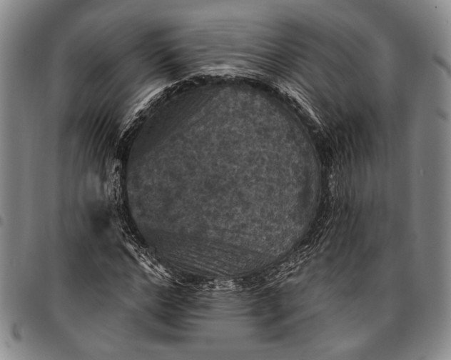 X0000096680968200802191349