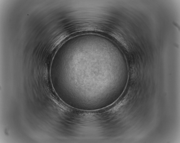 X0000096680969200802191349
