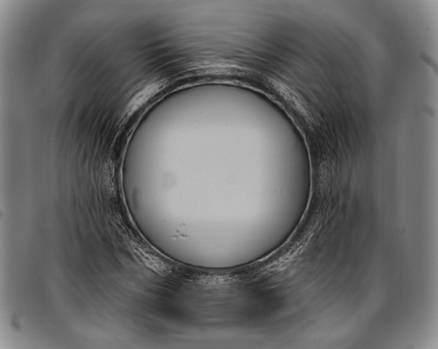 X0000096680970200802191349