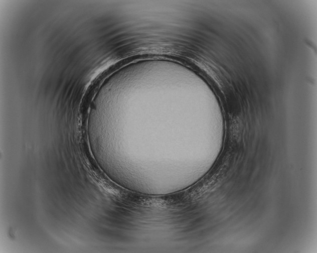 X0000096680971200802191349