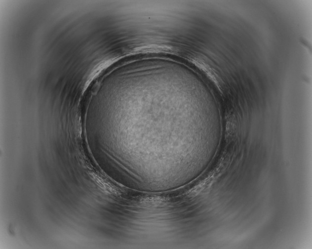 X0000096680973200802191349