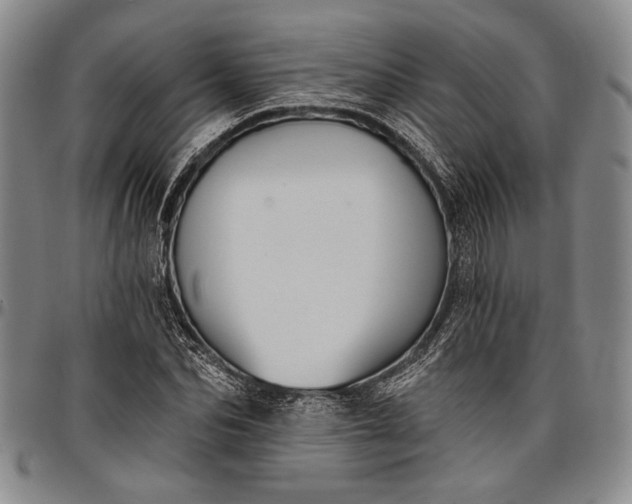 X0000096680974200802191349