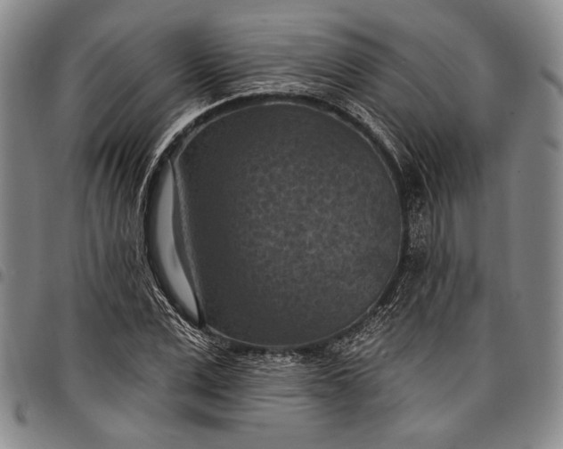 X0000096680975200802191349