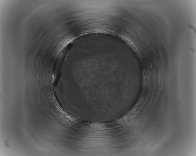 X0000096680977200802191349