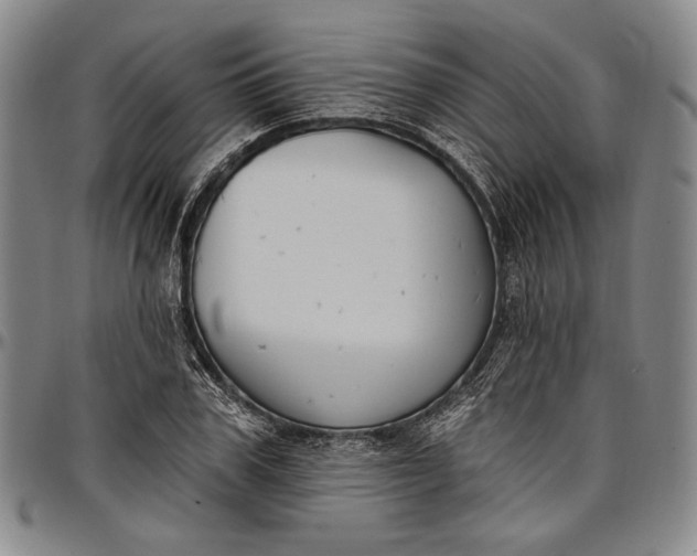 X0000096680979200802191349