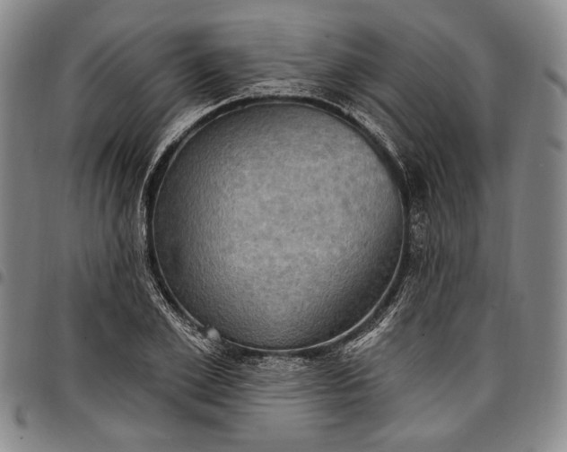 X0000096680981200802191348