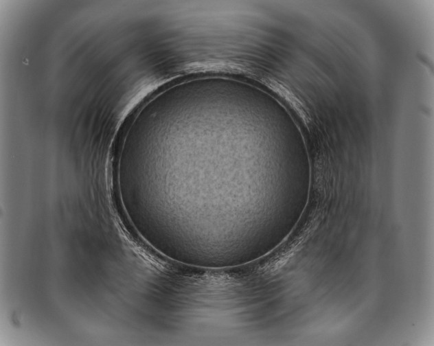X0000096680983200802191348