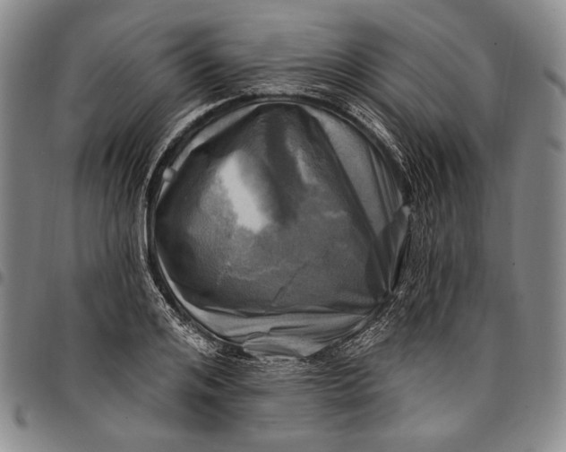X0000096680984200802191348