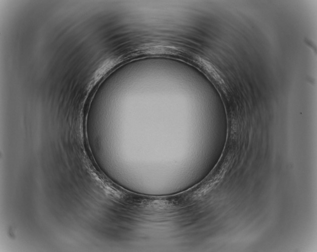 X0000096680986200802191348