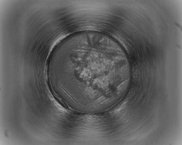 X0000096680987200802191348