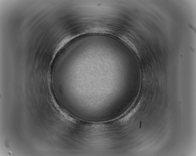 X0000096680989200802191348