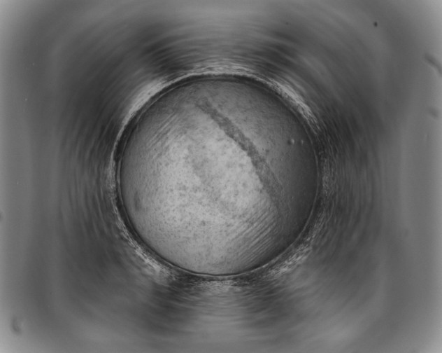 X0000096680990200802191348