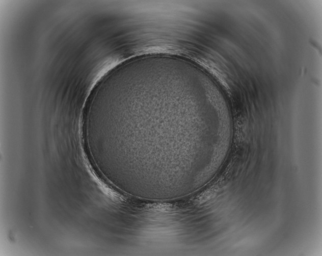 X0000096680991200802191348