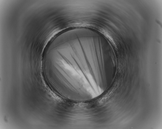 X0000096680992200802191348