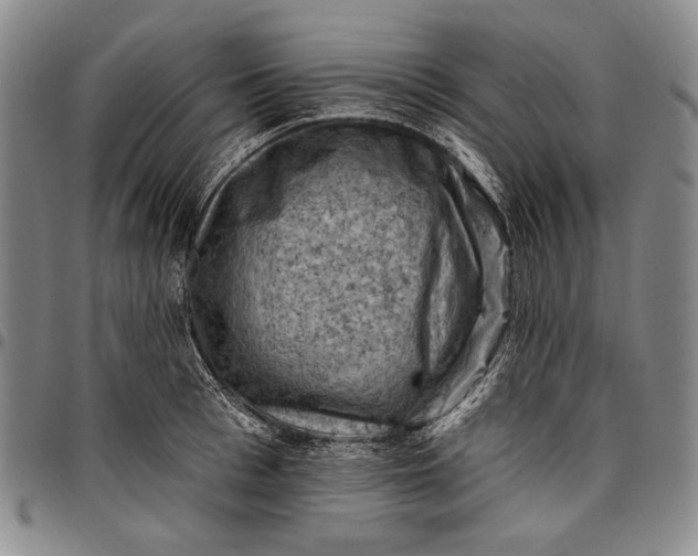 X0000096680993200802191348