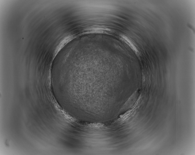 X0000096680994200802191348
