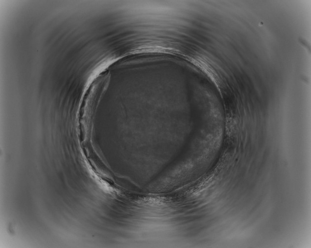 X0000096680995200802191348
