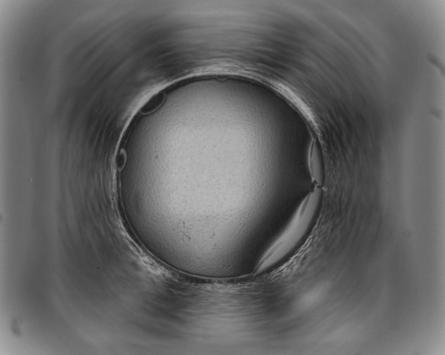 X0000096680996200802191348