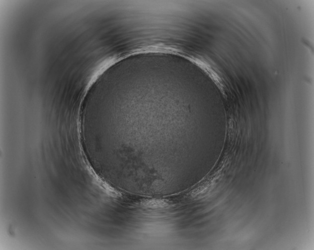 X0000096680998200802191348