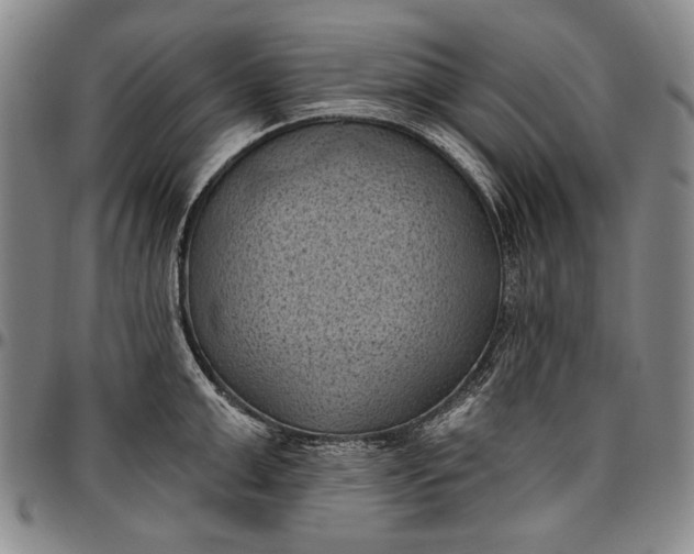 X0000096680999200802191348