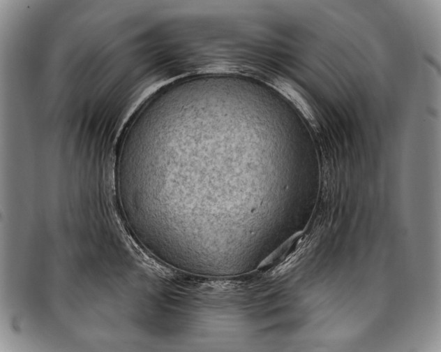 X0000096681000200802191348
