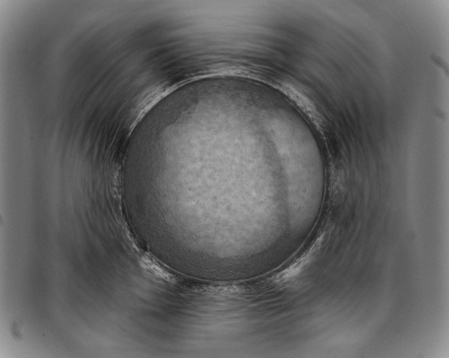 X0000096681001200802191348