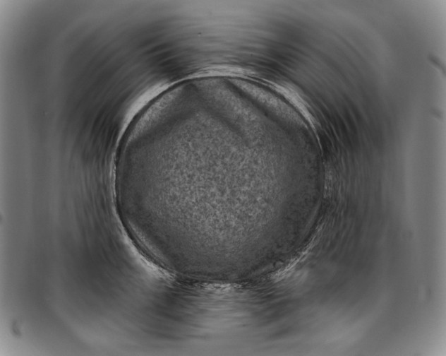 X0000096681003200802191348
