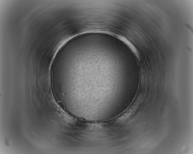 X0000096681004200802191348
