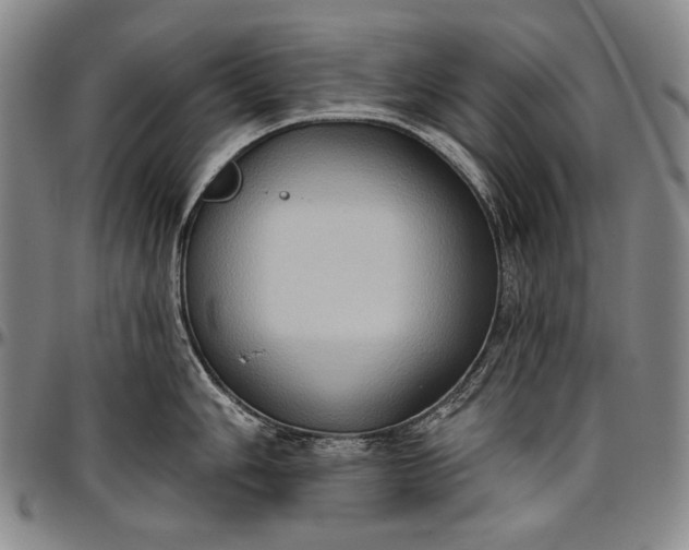 X0000096681006200802191348