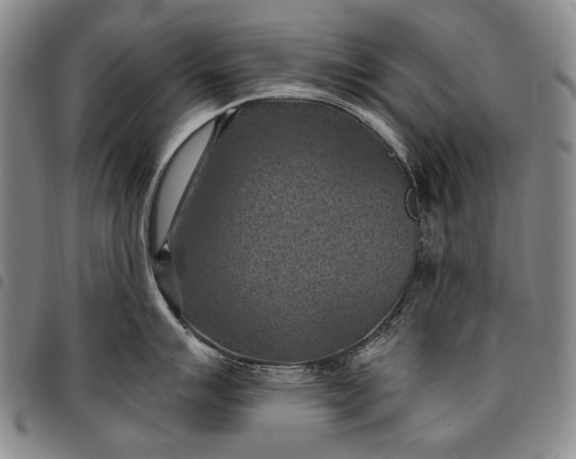 X0000096681007200802191348