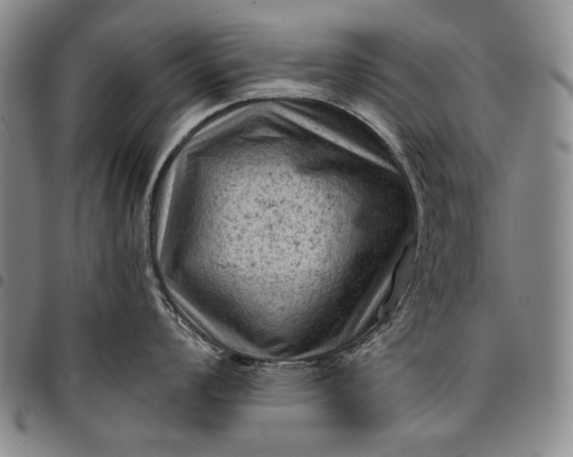 X0000096681008200802191348