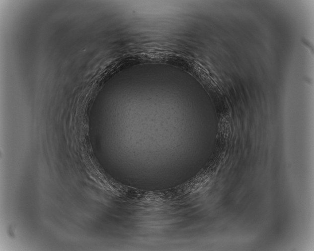 X0000096681009200802191347