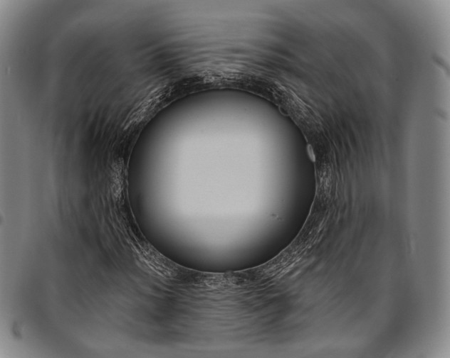 X0000096681012200802191348