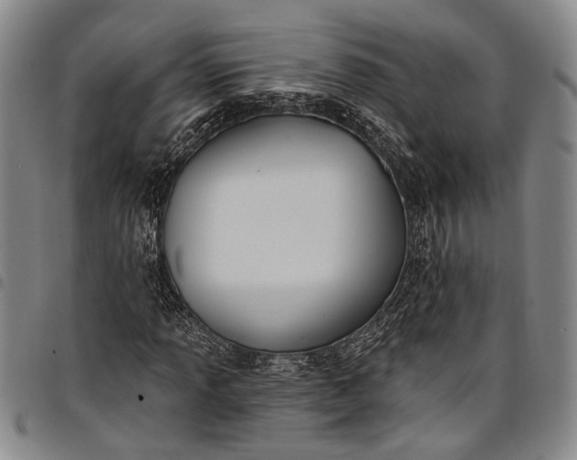 X0000096681013200802191348