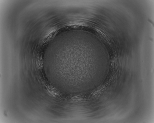 X0000096681014200802191348