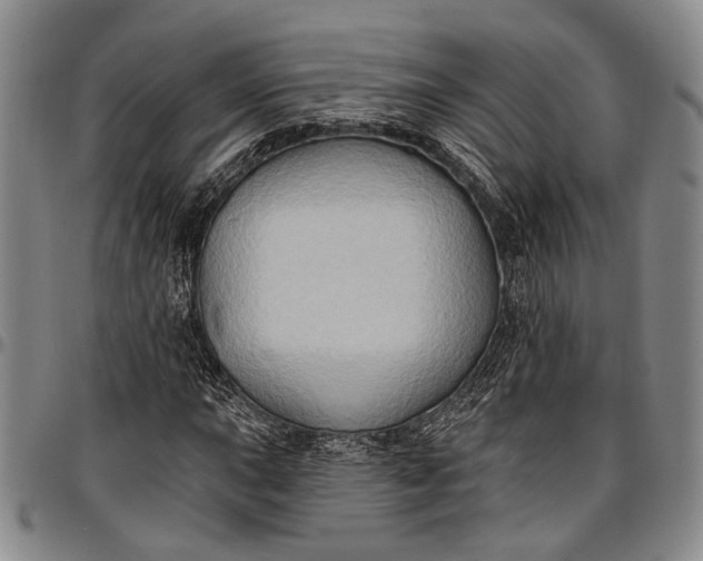 X0000096681015200802191348